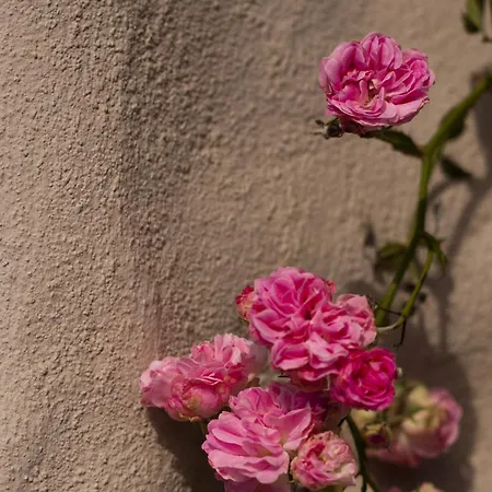 By The Sea Okrug Gornji, Ciovo - 8330 شقة